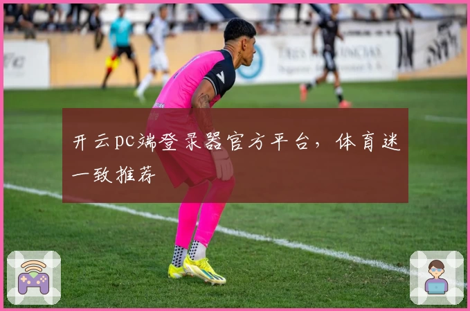 开云pc端登录器官方平台，体育迷一致推荐