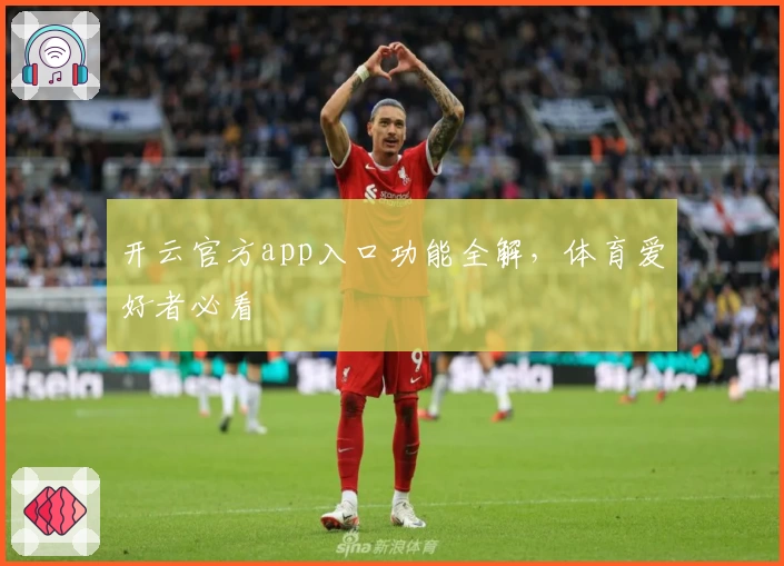 开云官方app入口功能全解,体育爱好者必看