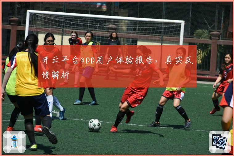 开云平台app用户体验报告，真实反馈解析