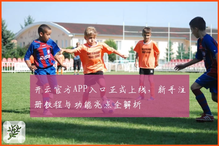 开云官方APP入口正式上线，新手注册教程与功能亮点全解析