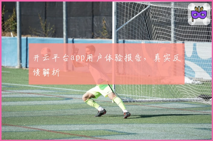 开云平台app用户体验报告，真实反馈解析