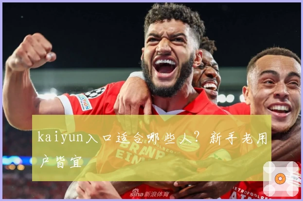 kaiyun入口适合哪些人？新手老用户皆宜