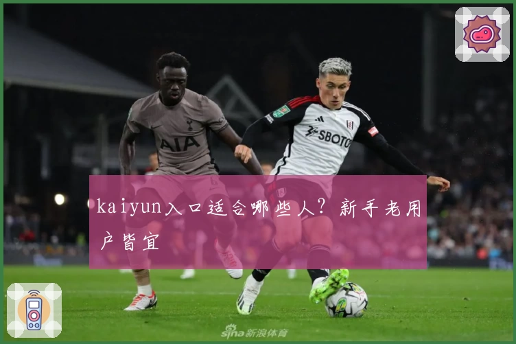 kaiyun入口适合哪些人？新手老用户皆宜