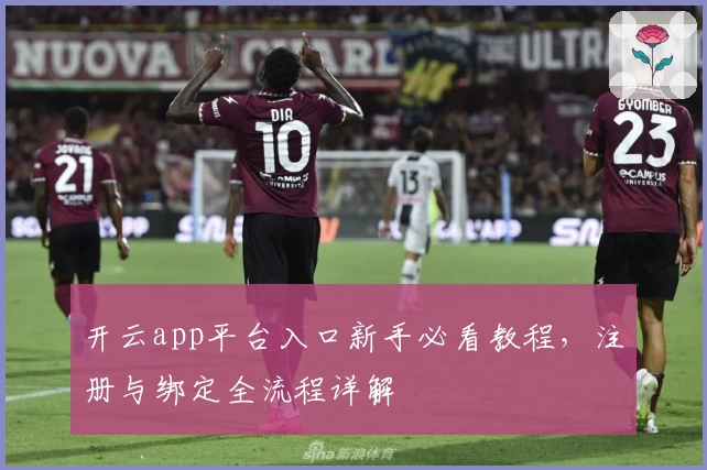 开云app平台入口新手必看教程，注册与绑定全流程详解