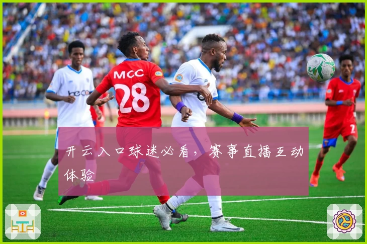 开云入口球迷必看，赛事直播互动体验